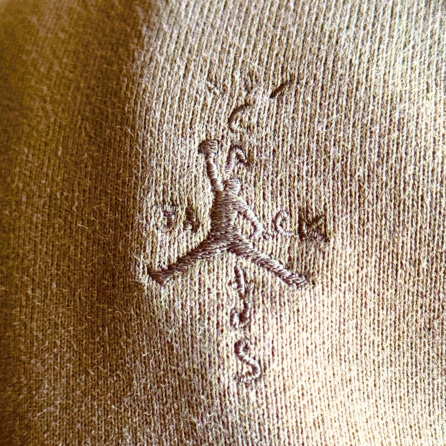 Cactus Jordan Hoodie Brown